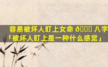 容易被坏人盯上女命 🐋 八字「被坏人盯上是一种什么感觉」